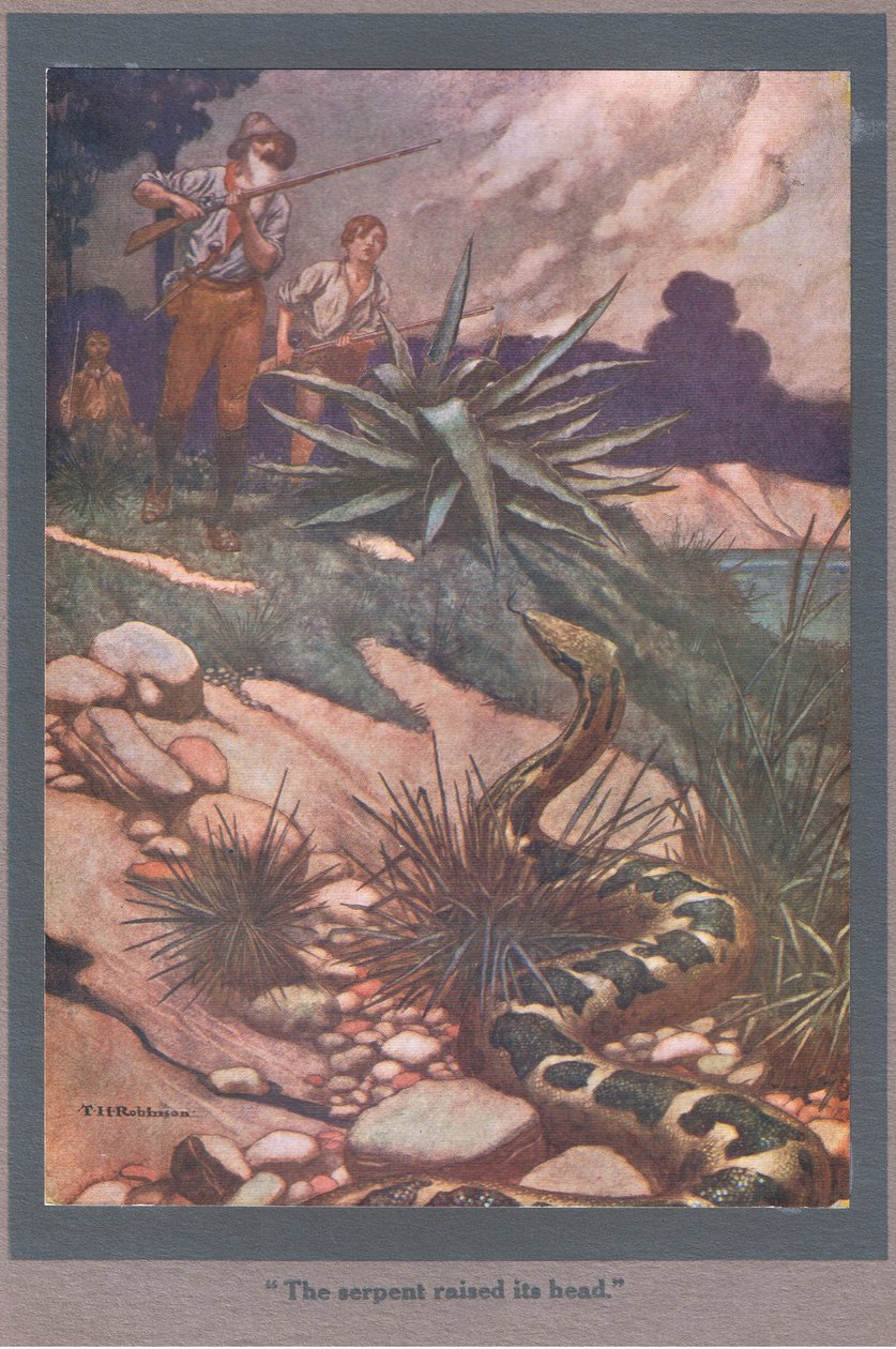 La serpiente levantó la cabeza (litografía en color) de Thomas Heath Robinson