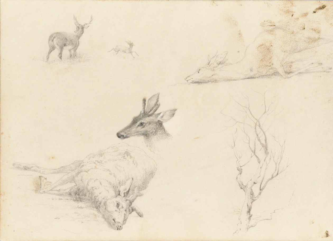 Cuaderno de bocetos de paisajes y animales, 1860-64 de Thomas Hewes Hinckley