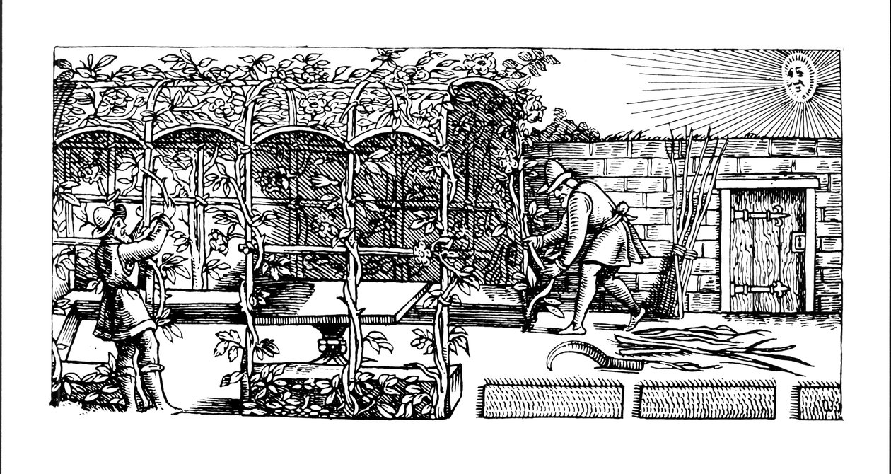 Pérgola siendo construida como sombra contra el sol, de 