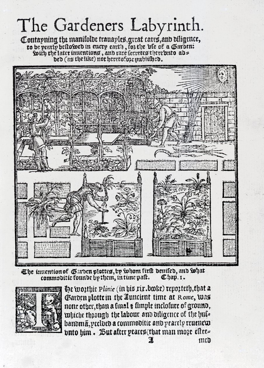 Pérgola construida como sombra contra el sol y plantación en camas elevadas, de The Gardeners Labyrinth, 1577 de Thomas Hill