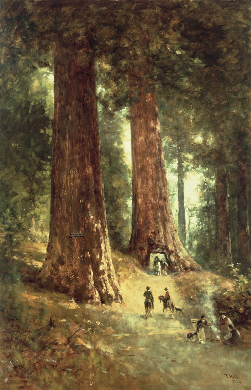 En los Redwoods, 1899 de Thomas Hill