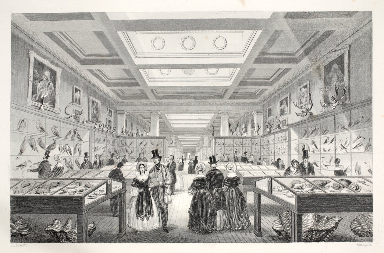 Museo Británico, Galería Zoológica, de 