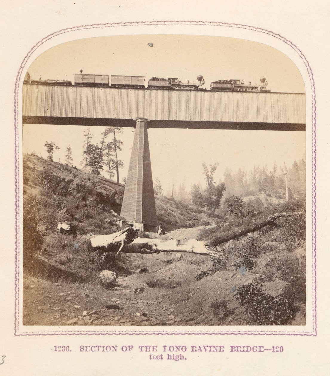 Sección del puente de Long Ravine de Thomas Houseworth