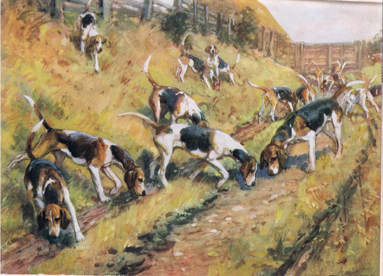 Nariz al suelo, ilustración de 