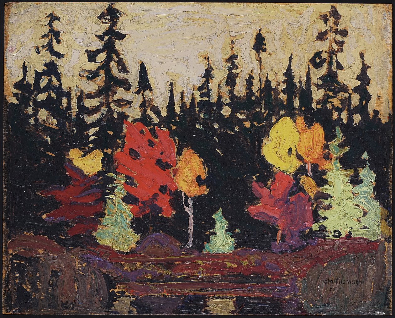 Abeto negro y arce, 1915 de Tom Thomson