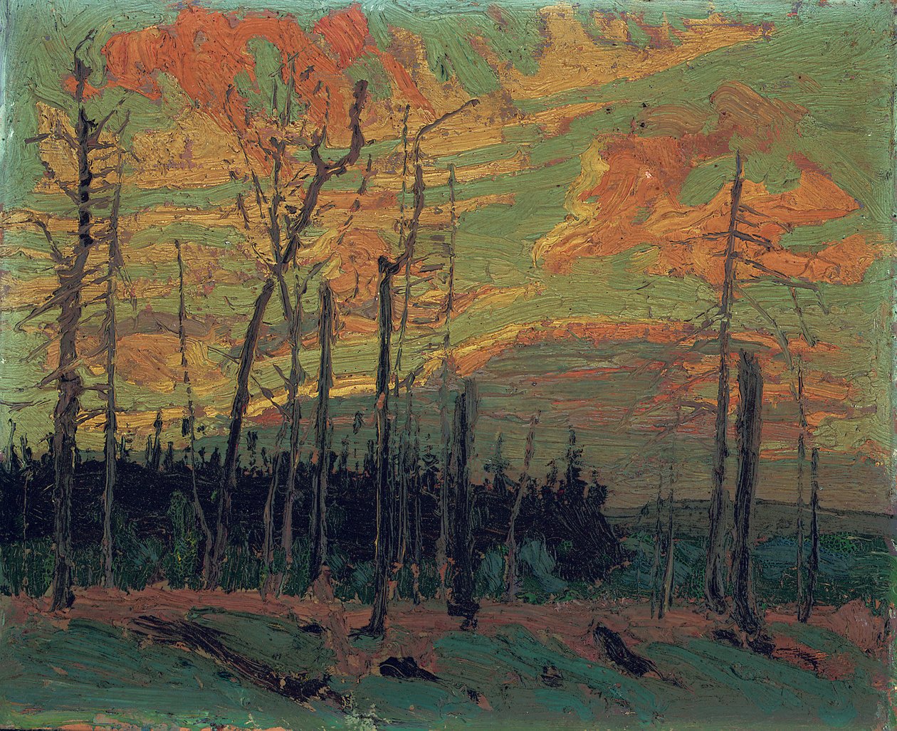 Tierra quemada al atardecer, 1915 de Tom Thomson