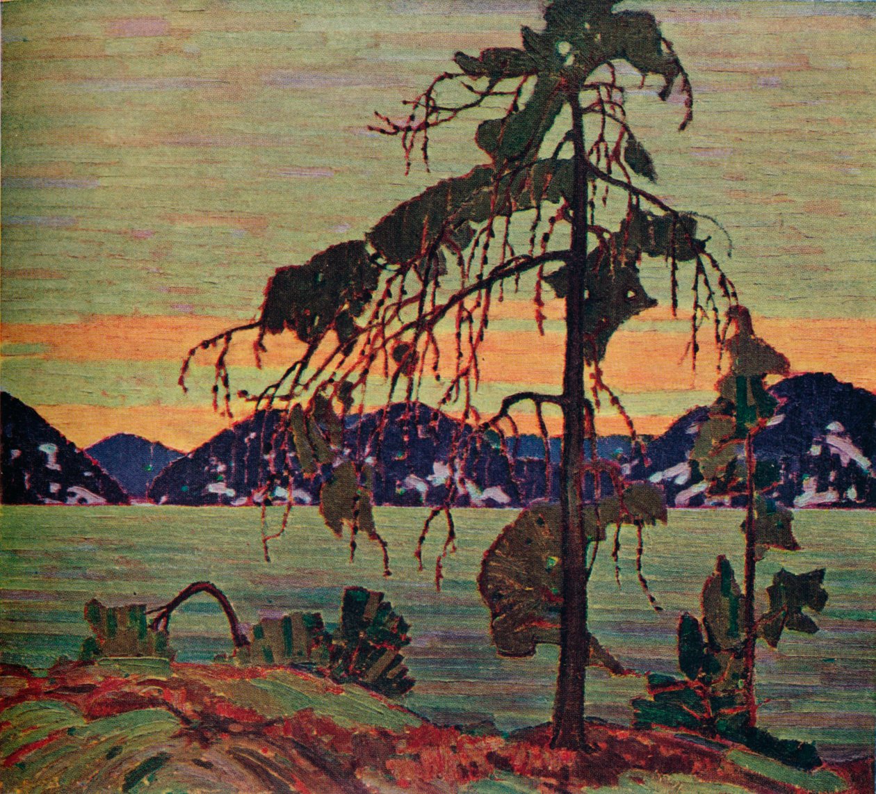 El pino Jack, 1917 de Tom Thomson