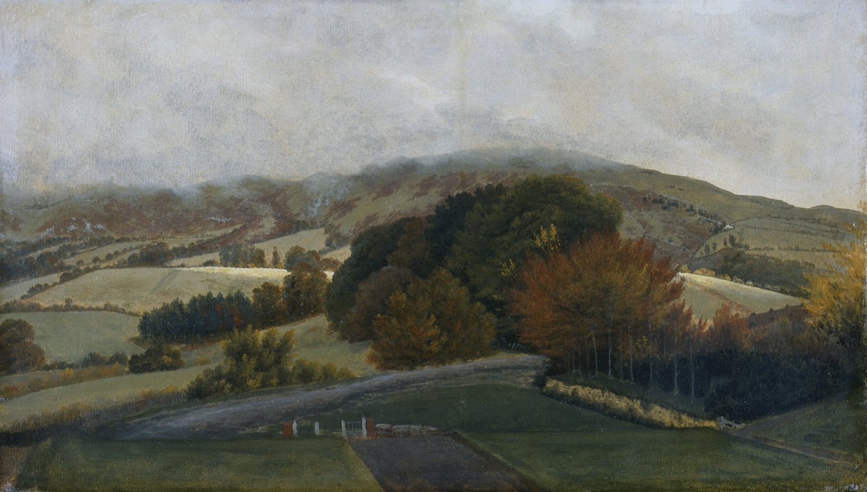 Carneddau Mountains from Pencerrig, c.1776 (óleo sobre papel y lienzo) de Thomas Jones
