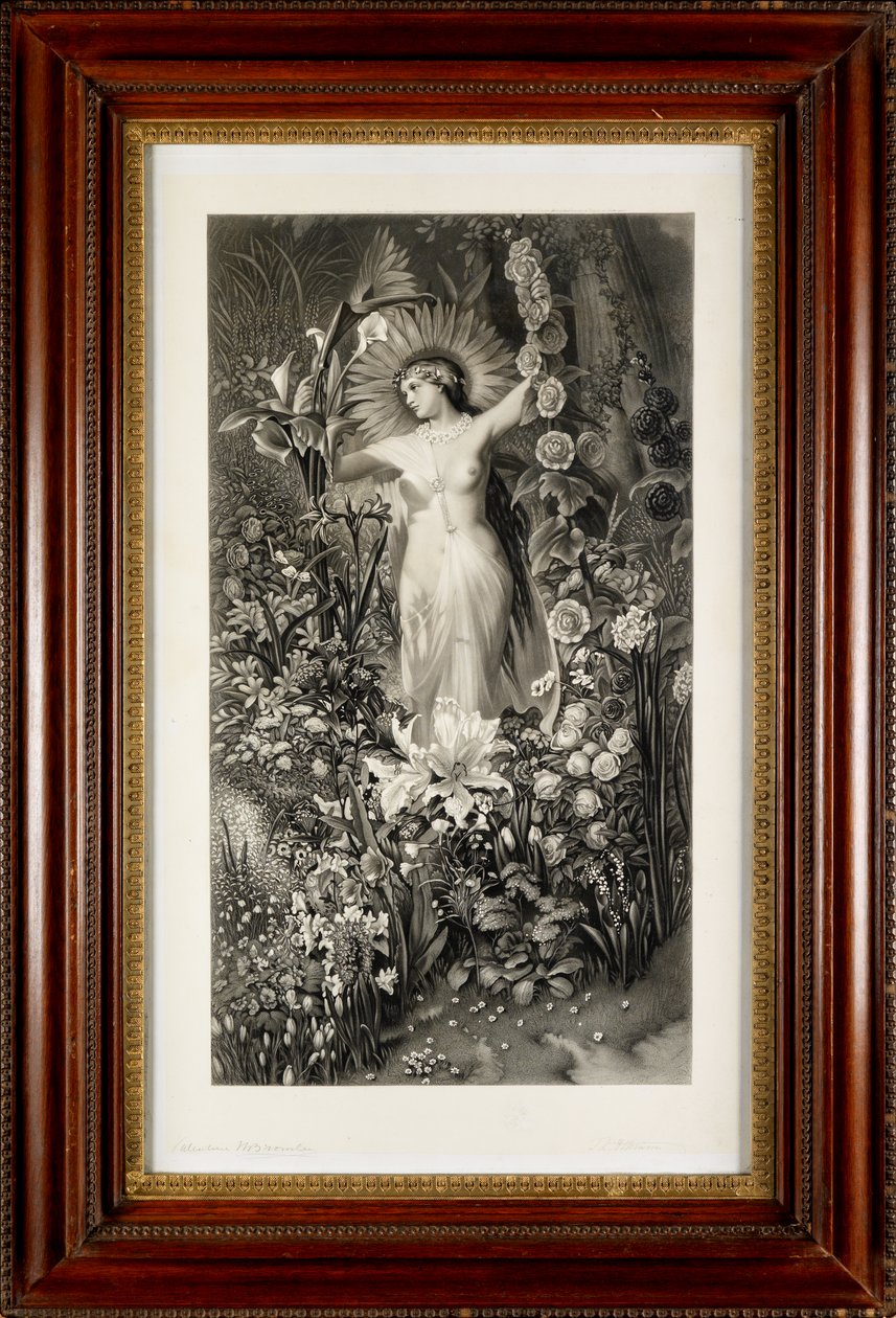 Flora de Thomas Lewis Atkinson