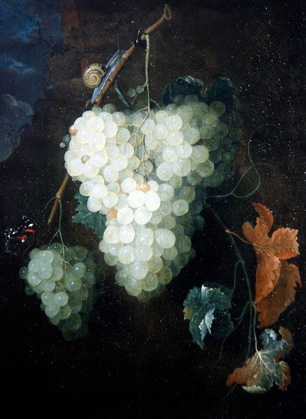 Naturaleza muerta con uvas, un almirante rojo y un caracol de Thomas Mertens