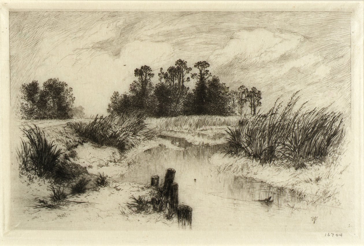 Cerca de Easthampton, L.I. (Passaic Meadows) de Thomas Moran