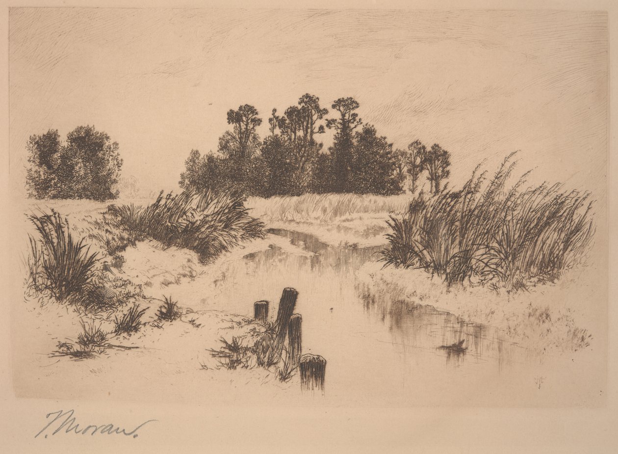 Praderas de Passaic (En las Praderas de Newark) de Thomas Moran