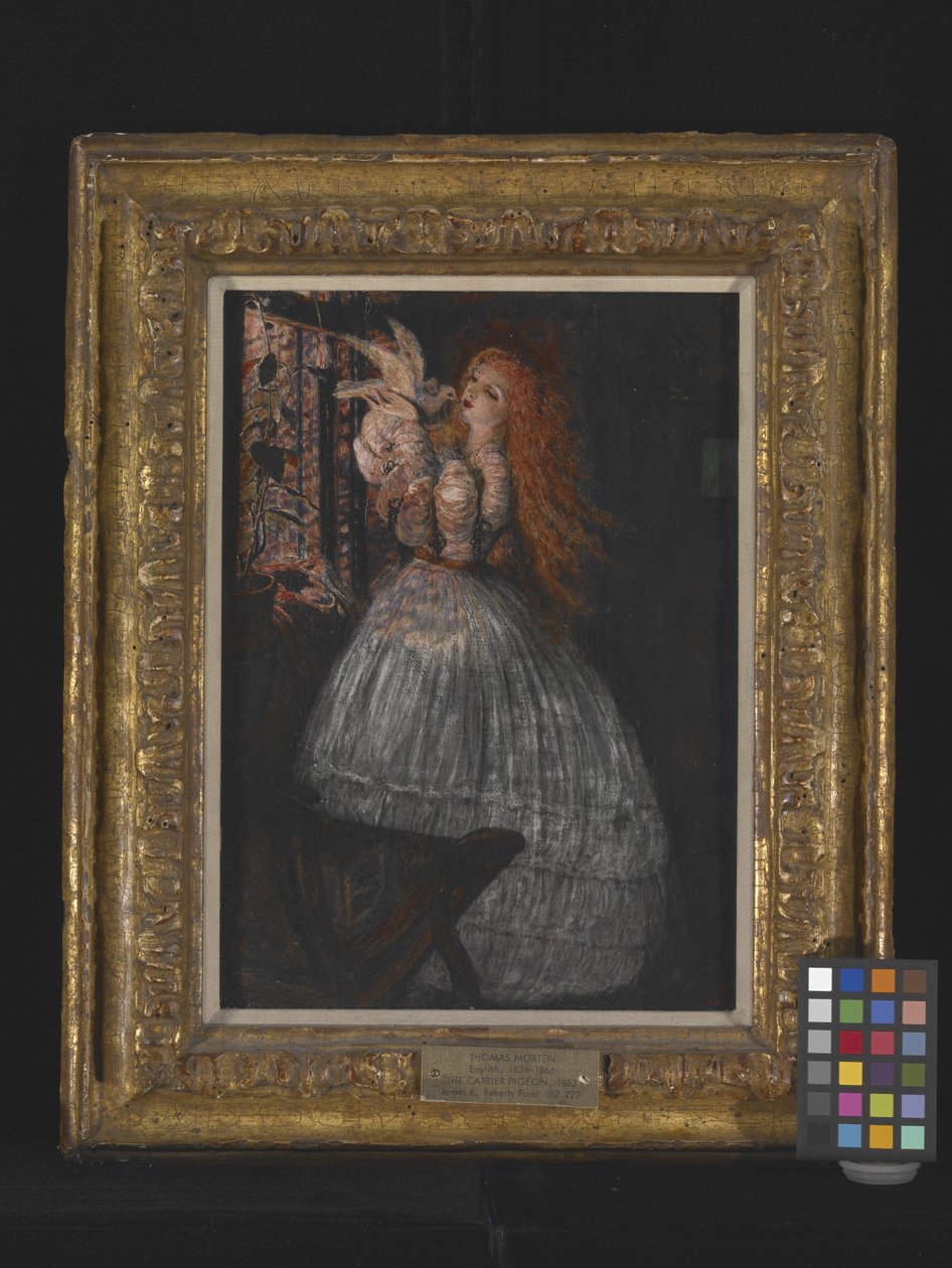 La paloma mensajera (La paloma) (óleo sobre lienzo) de Thomas Morten