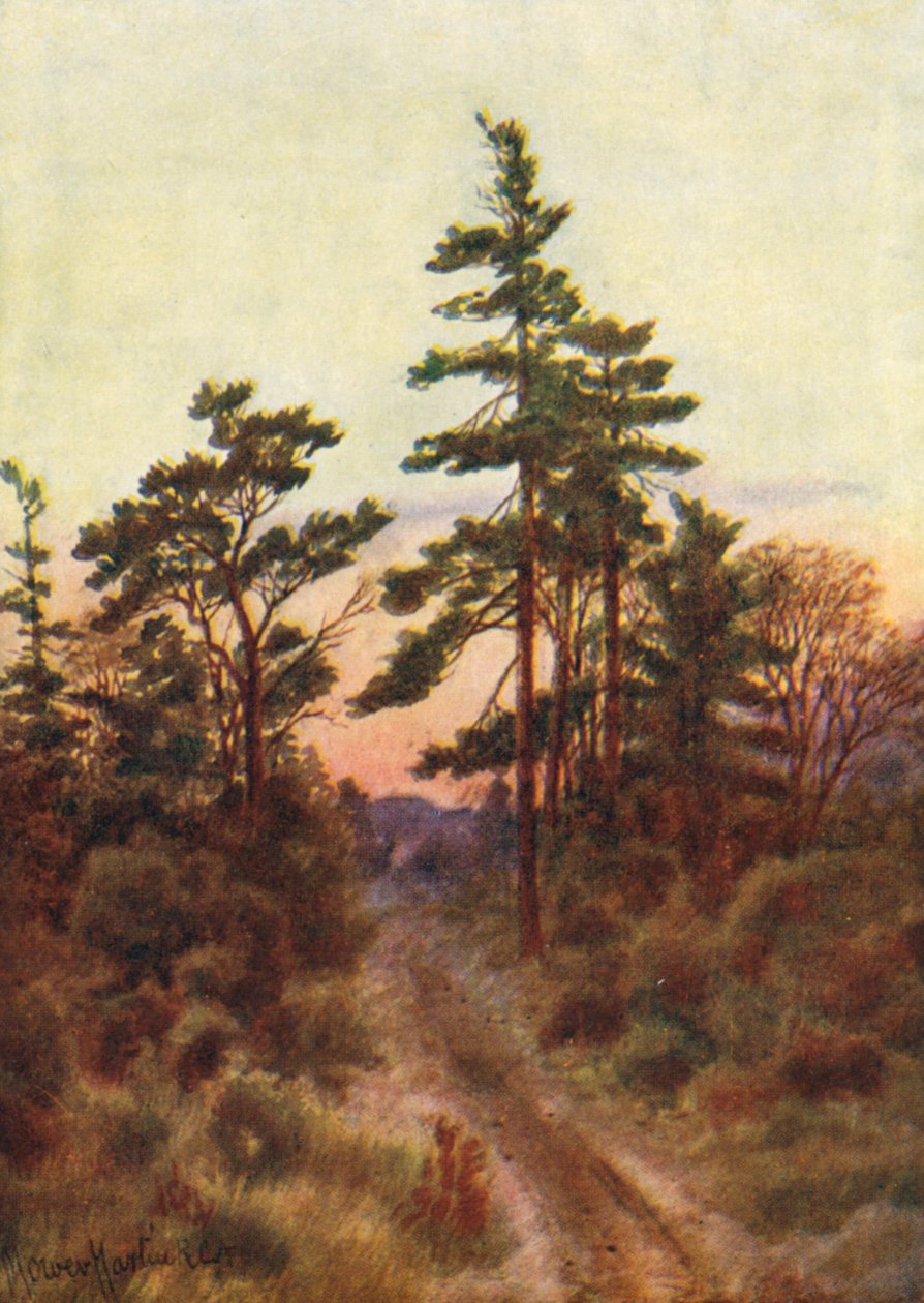 Carretera cerca de Victoria, Noche (litografía en color) de Thomas Mower Martin