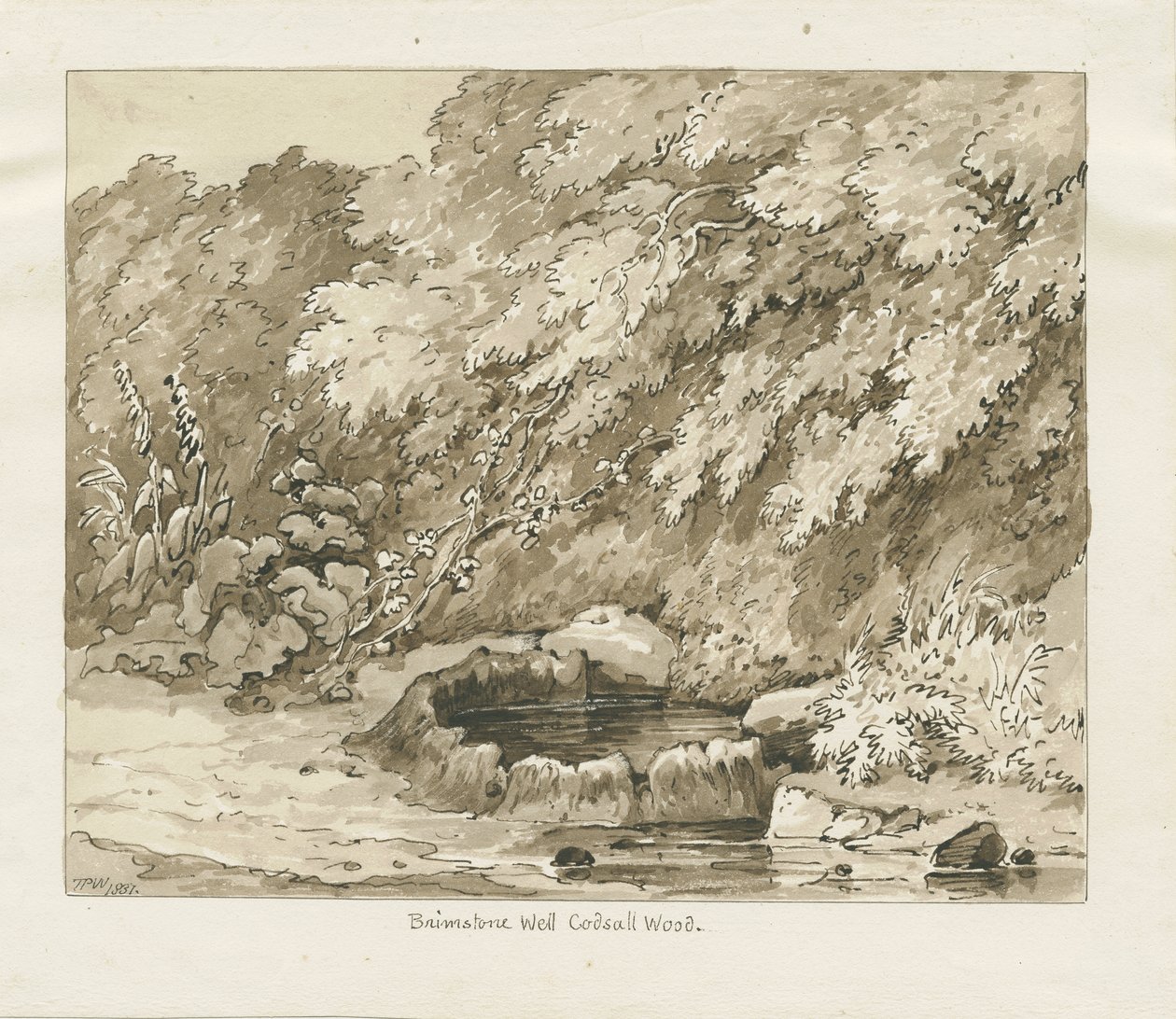Codsall Wood - Brimstone Well de Thomas Peploe Wood