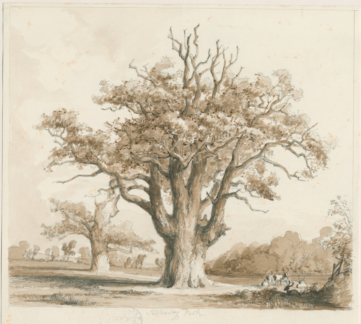 Teddesley Hall - Robles: dibujo a lápiz y lavado, nd [noviembre 1842] de Thomas Peploe Wood