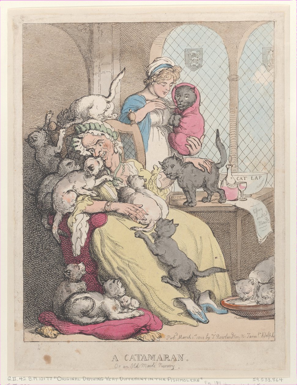 Un catamarán, o el vivero de una solterona de Thomas Rowlandson