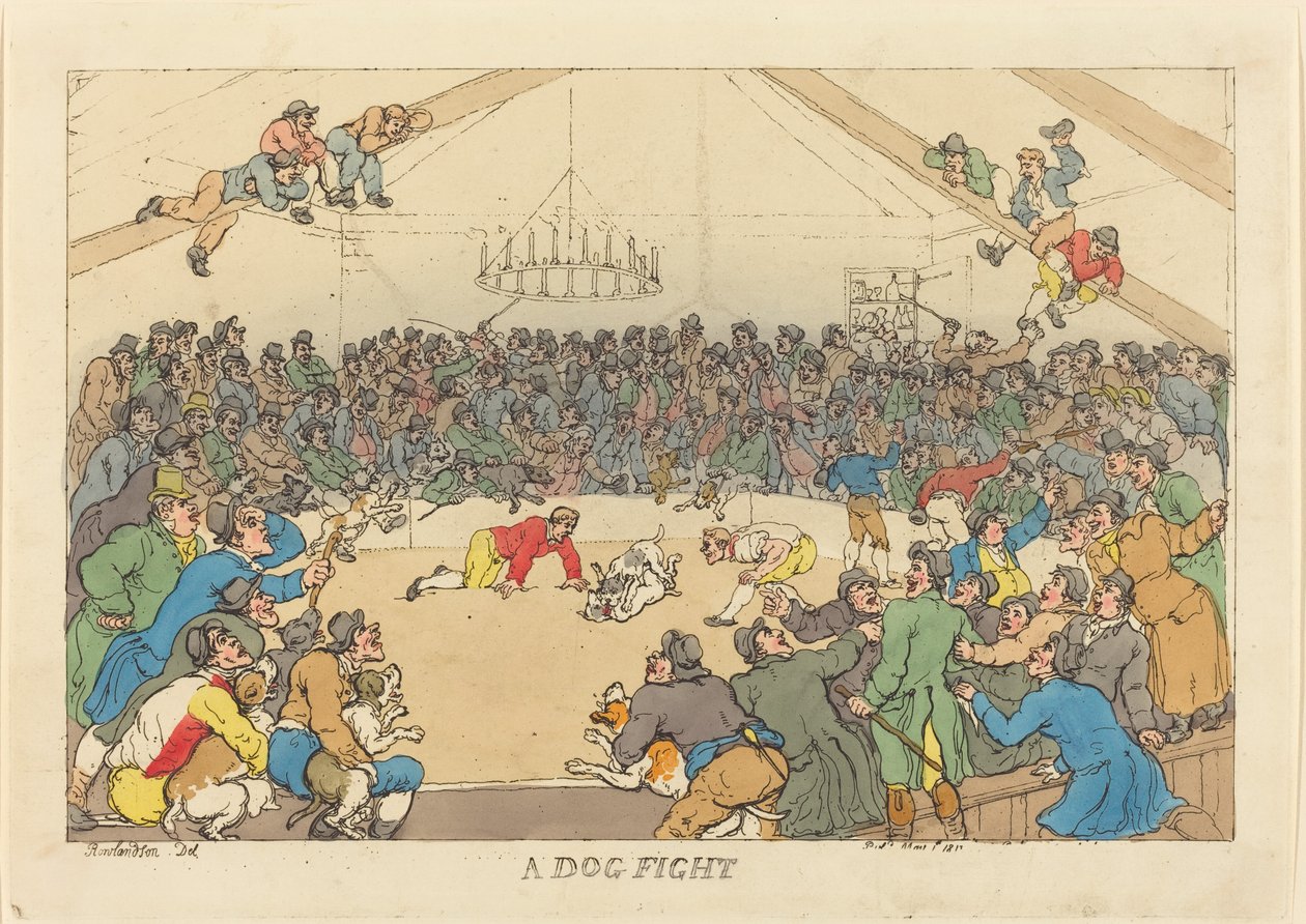 Una pelea de perros de Thomas Rowlandson