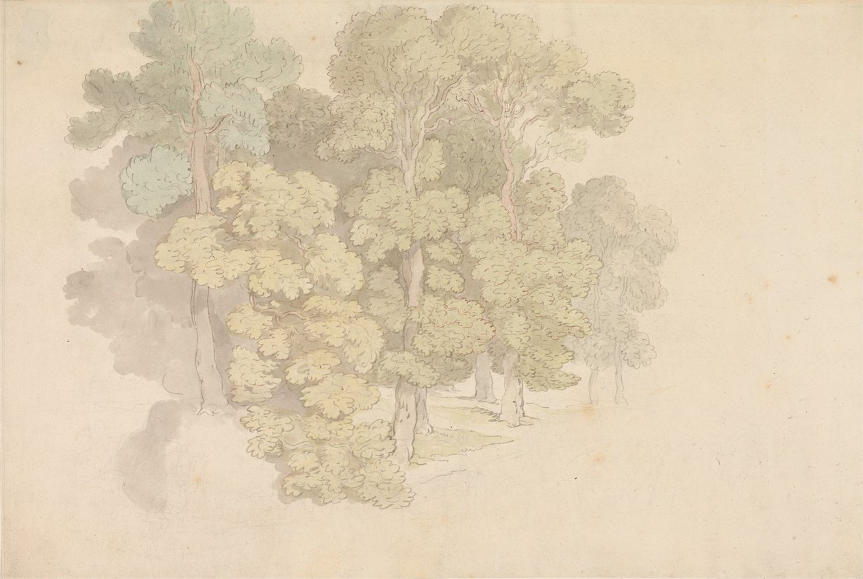 Un grupo de árboles de Thomas Rowlandson