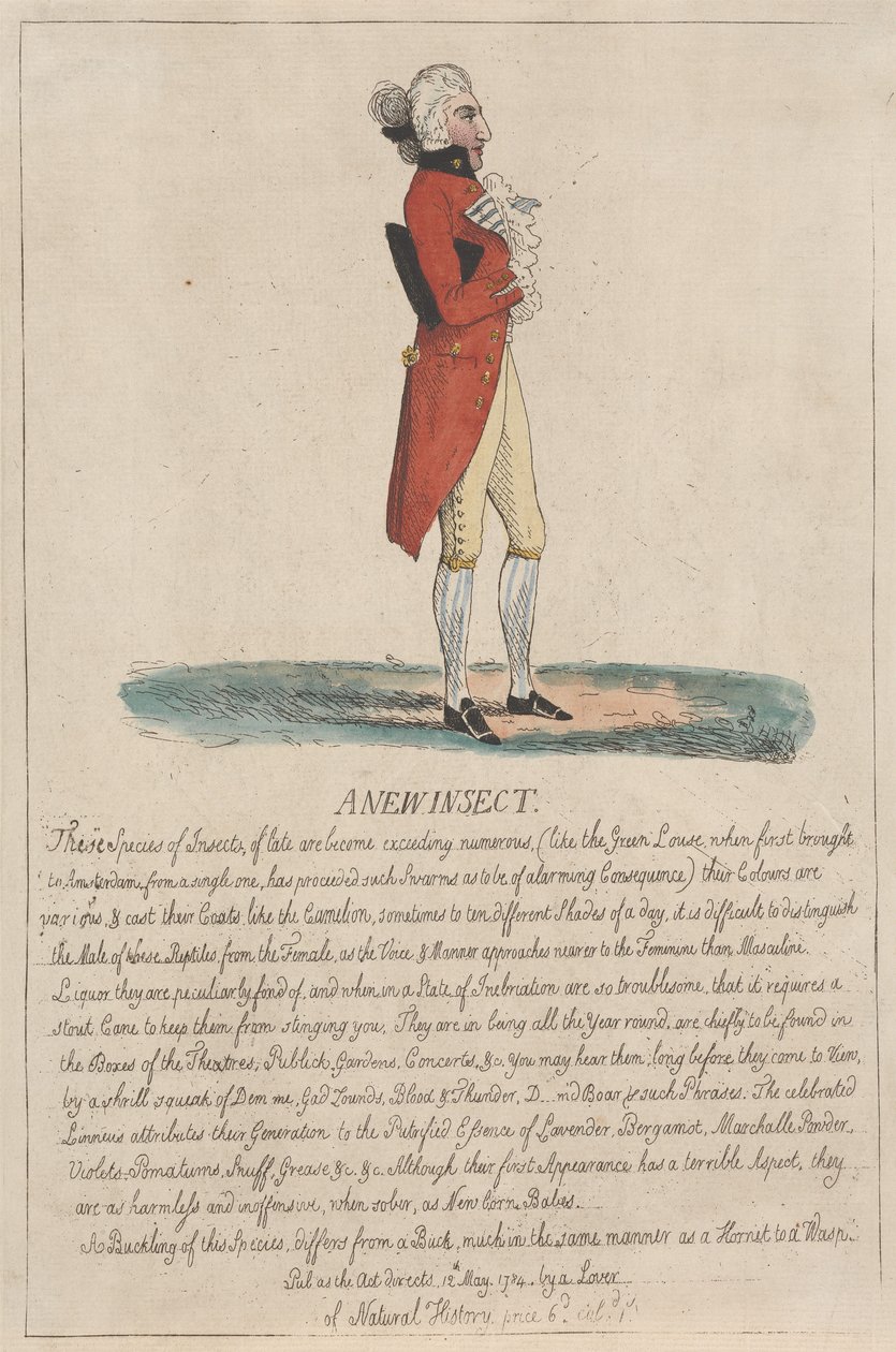 Un nuevo insecto de Thomas Rowlandson