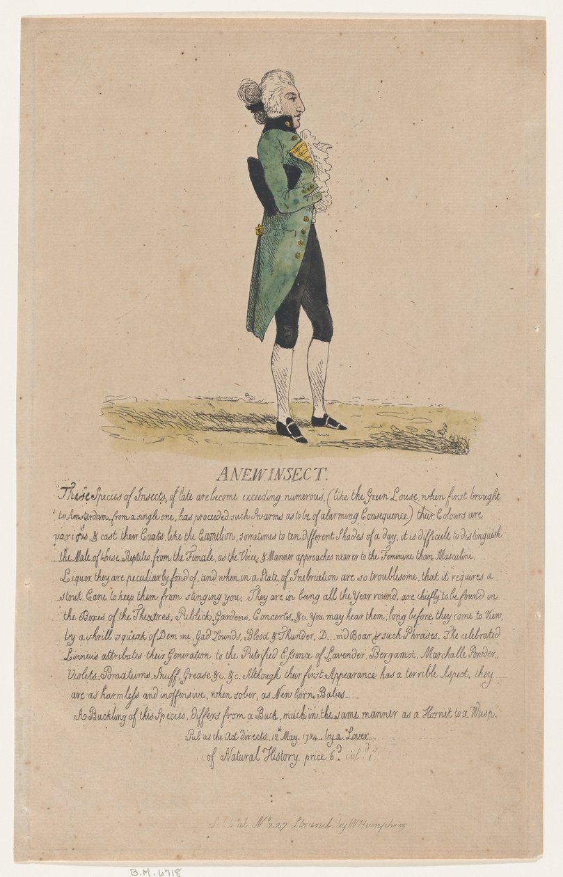 Un nuevo insecto, 12 de mayo de 1784 de Thomas Rowlandson