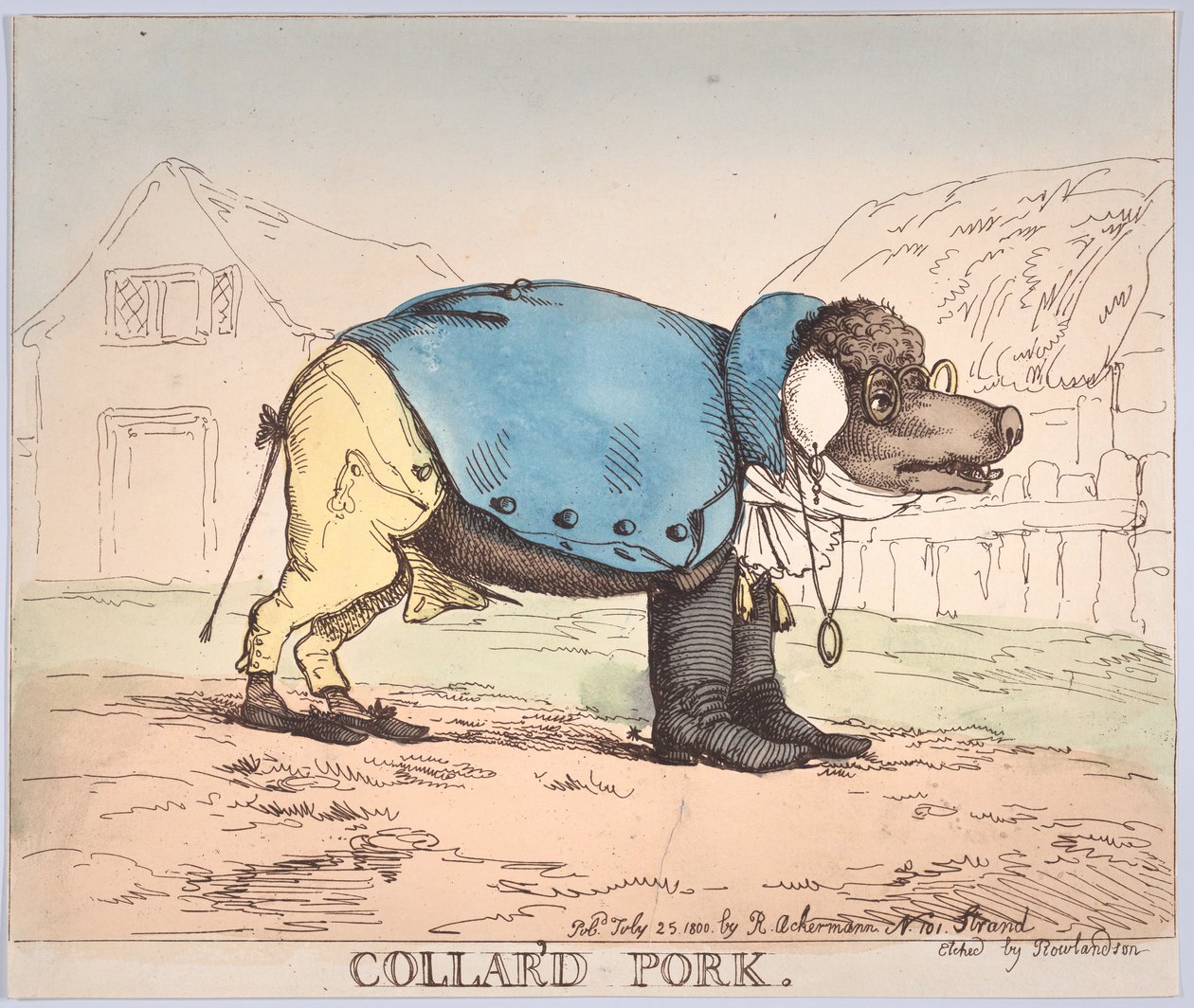 Cerdo en collar, 25 de julio de 1800 de Thomas Rowlandson