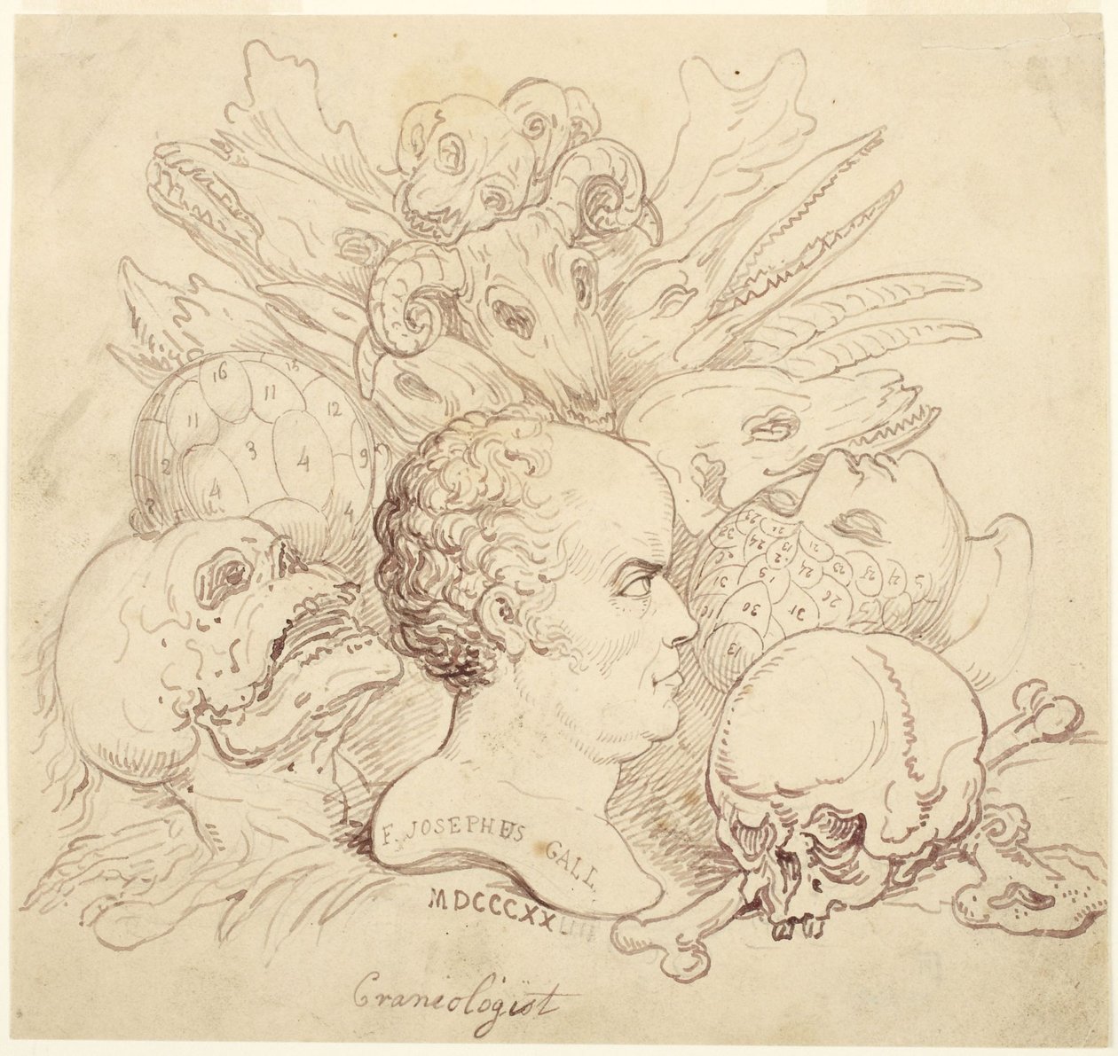 F. Josephus Gall, craneólogo de Thomas Rowlandson