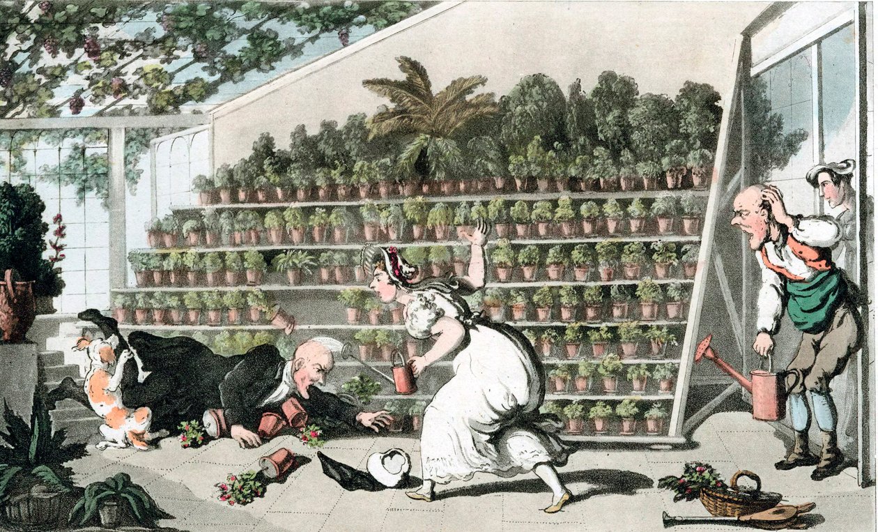 Desgracia en el Salón de los Tulipanes de Thomas Rowlandson