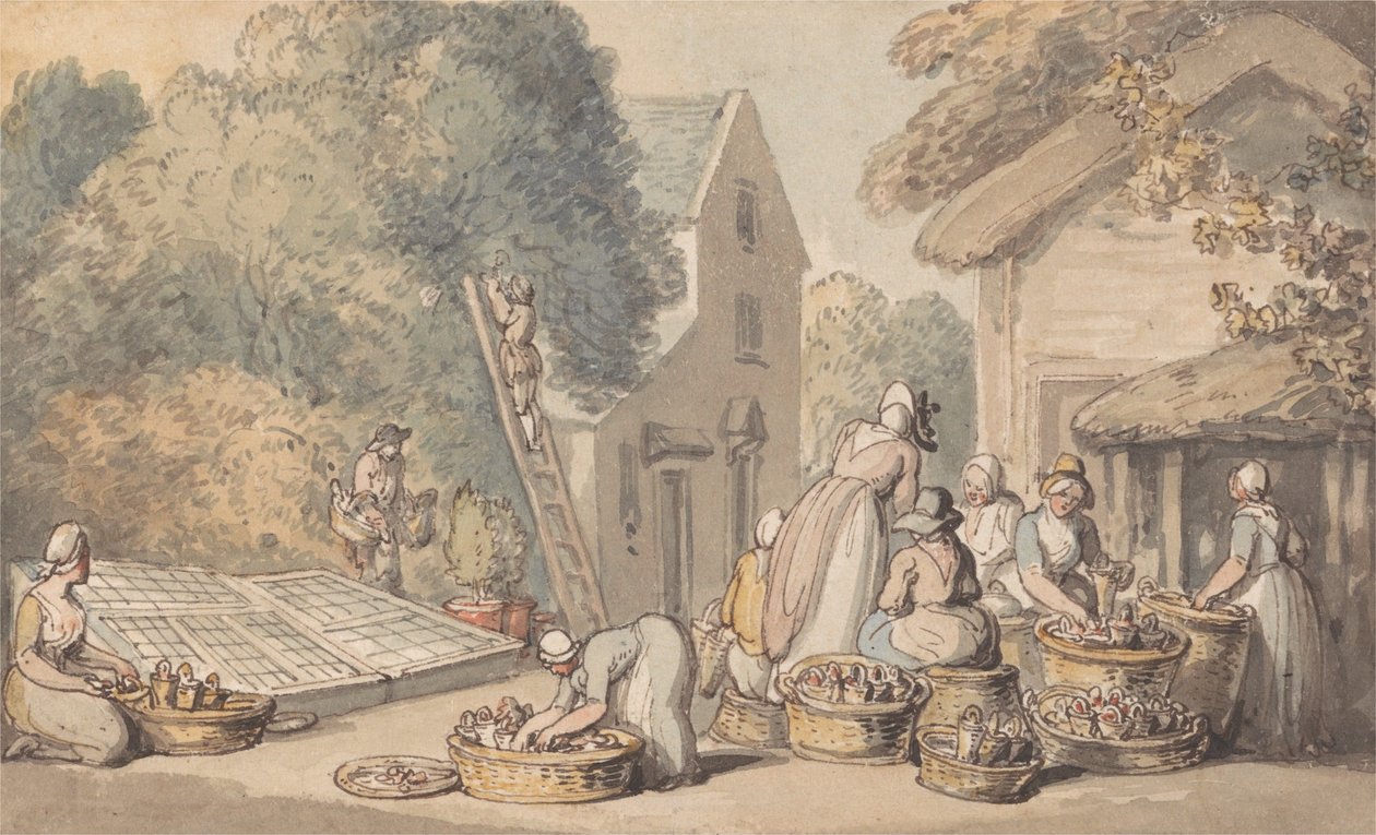Recolección de moras de Thomas Rowlandson