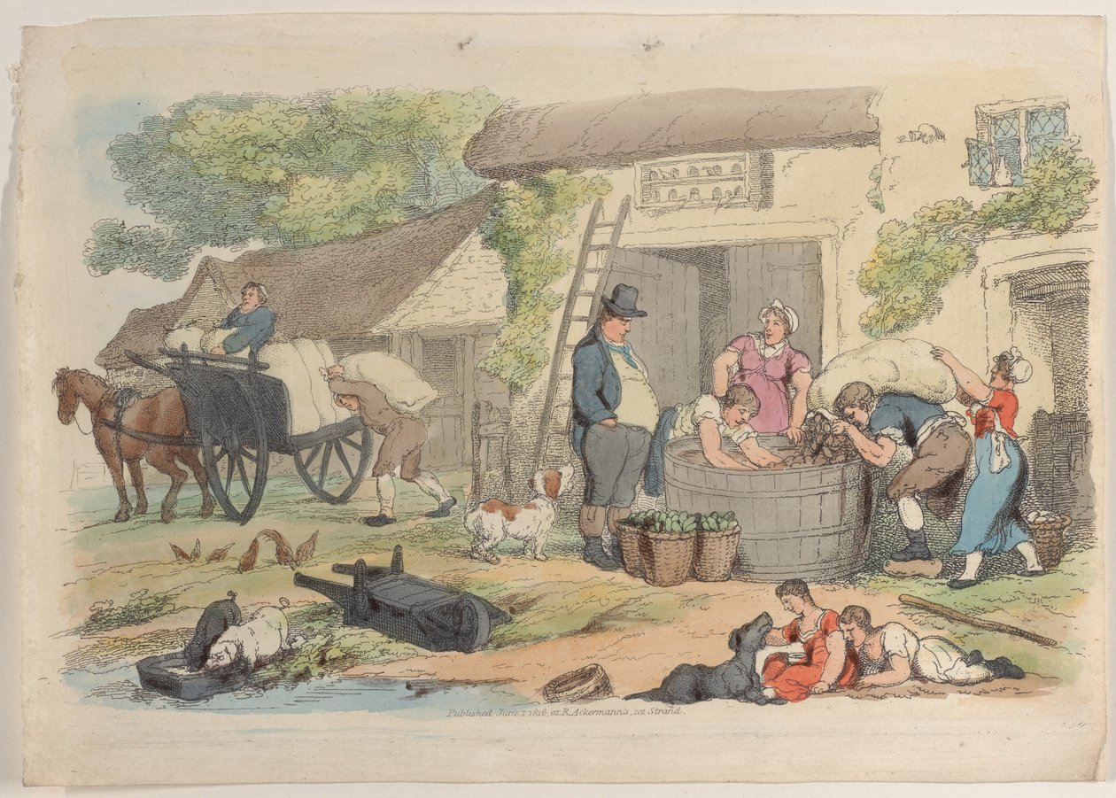 Placa 16, del Mundo en Miniatura, 1816 de Thomas Rowlandson