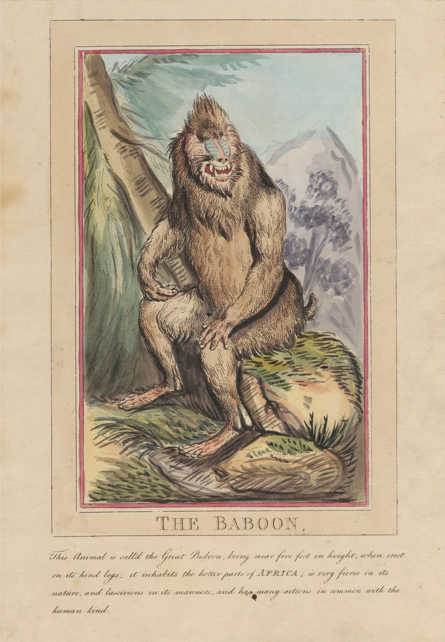 Conjunto de ocho láminas con portada. «Animales extranjeros y autóctonos». 2. El león de Thomas Rowlandson