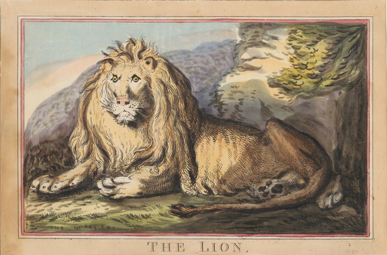Conjunto de ocho láminas con portada. «Animales extranjeros y nacionales». 3. La leona de Thomas Rowlandson
