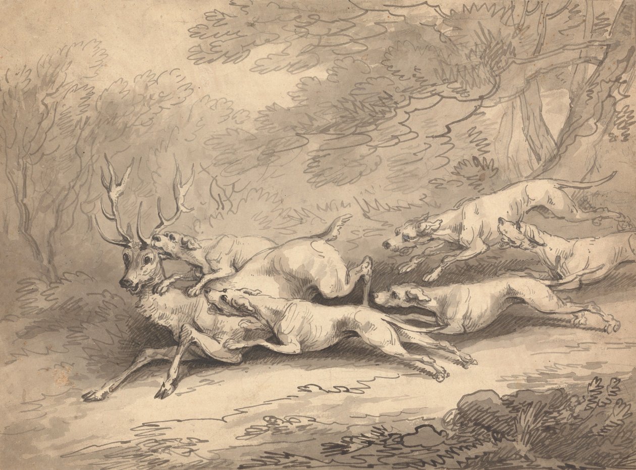 Un ciervo abatido por una jauría de perros de Thomas Rowlandson