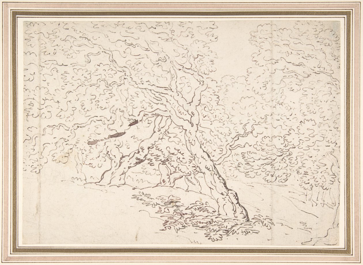 Estudio de los árboles de Thomas Rowlandson