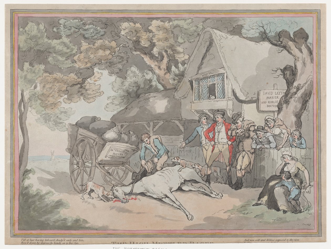 El Caballo de Tiro de La Vida de un Caballo de Carreras, o El Corredor de Alto Espíritu, 20 de julio de 1789 de Thomas Rowlandson