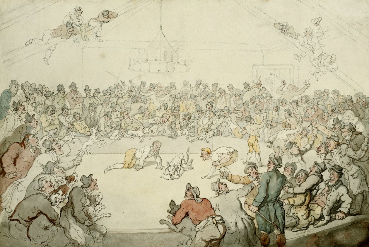 El Westminster Pitt, 1798 de Thomas Rowlandson