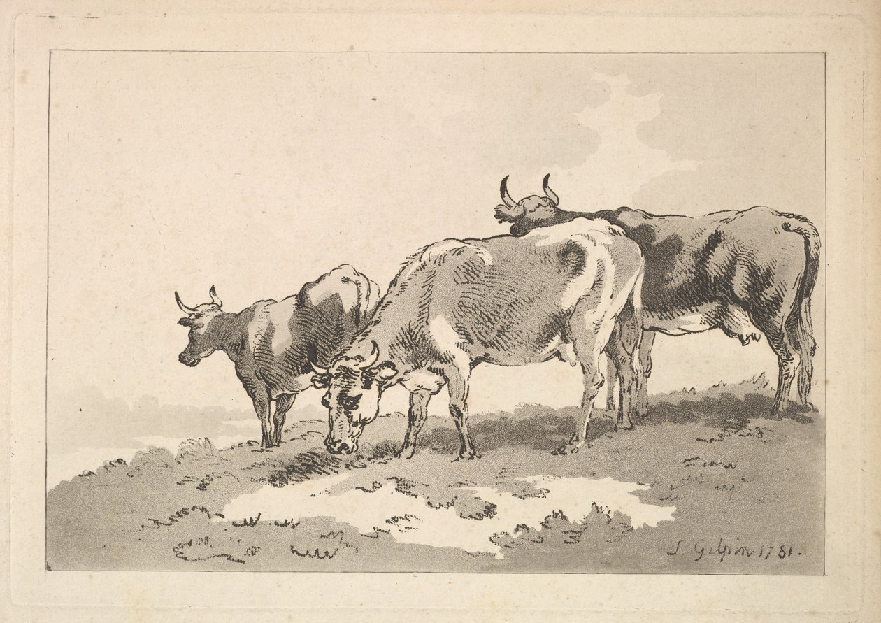 Tres vacas de pie en la cresta de un campo, 1784-87 de Thomas Rowlandson