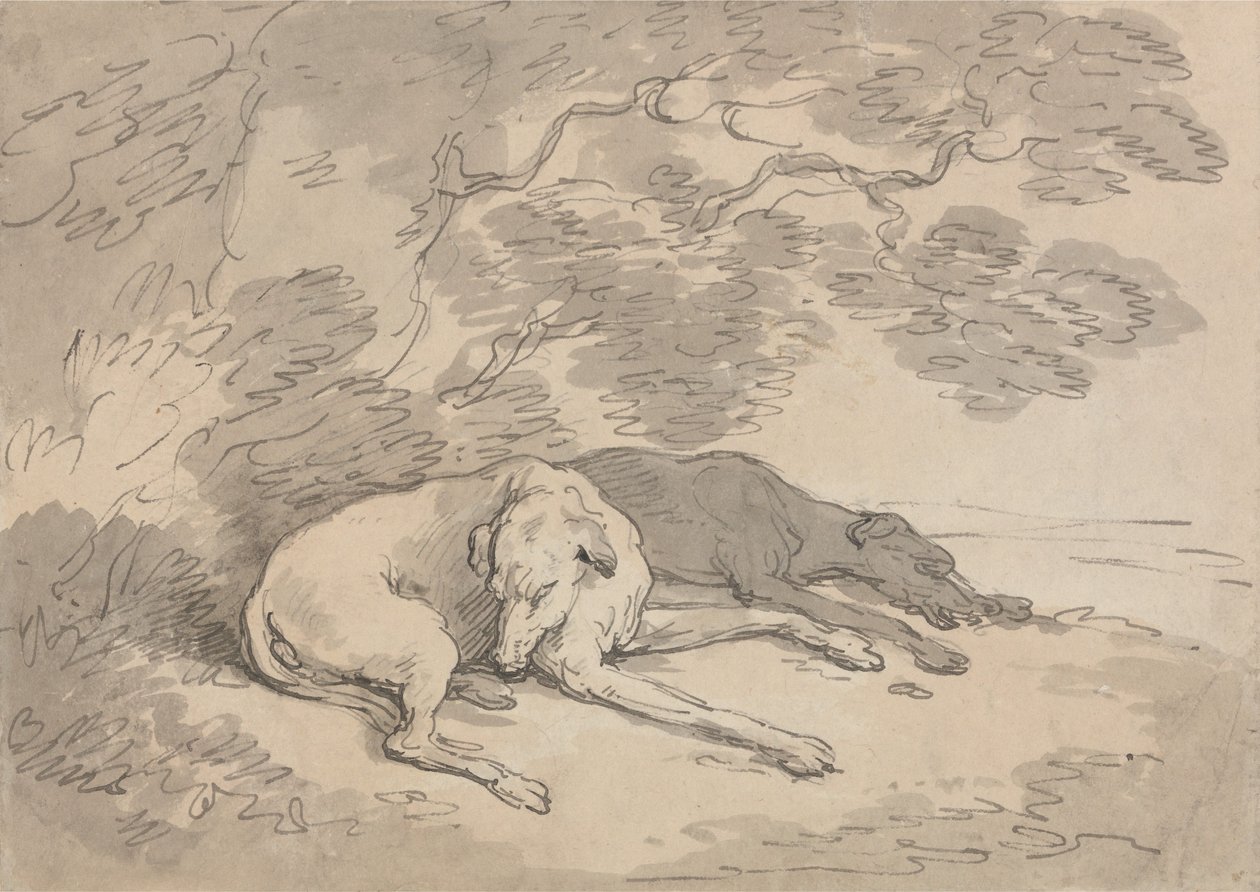 Dos galgos tumbados bajo un árbol de Thomas Rowlandson