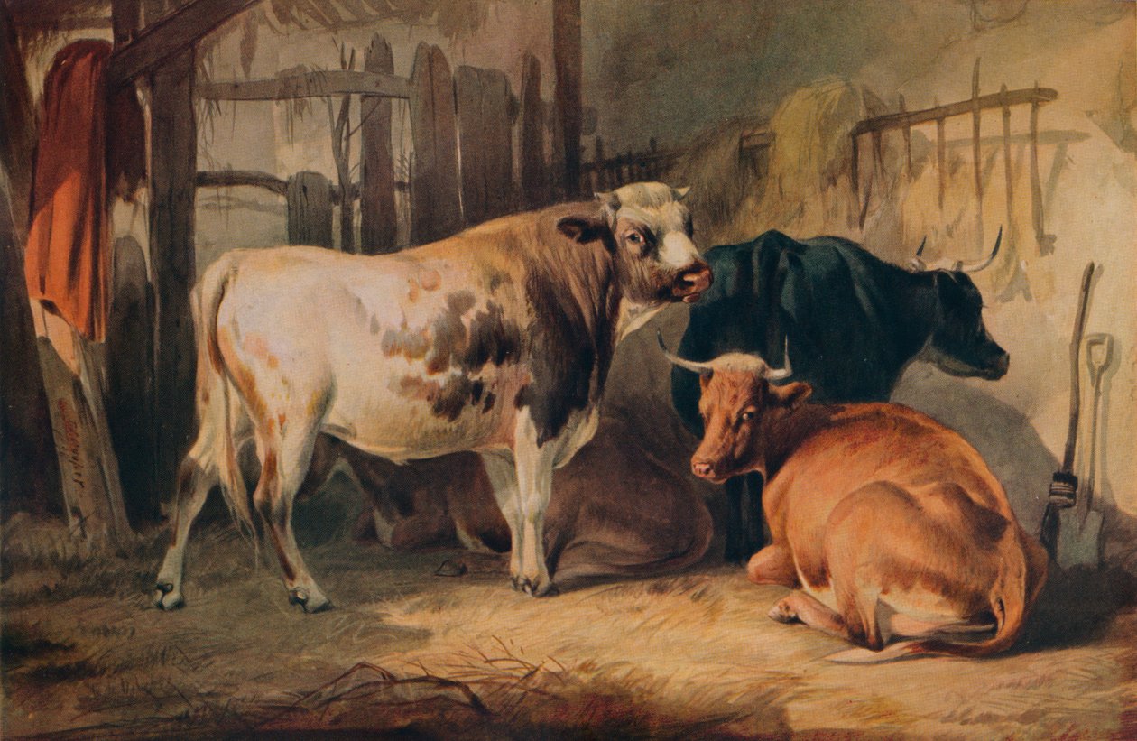 Un Toro y tres Vacas en un Establo, c1856 de Thomas Sidney Cooper