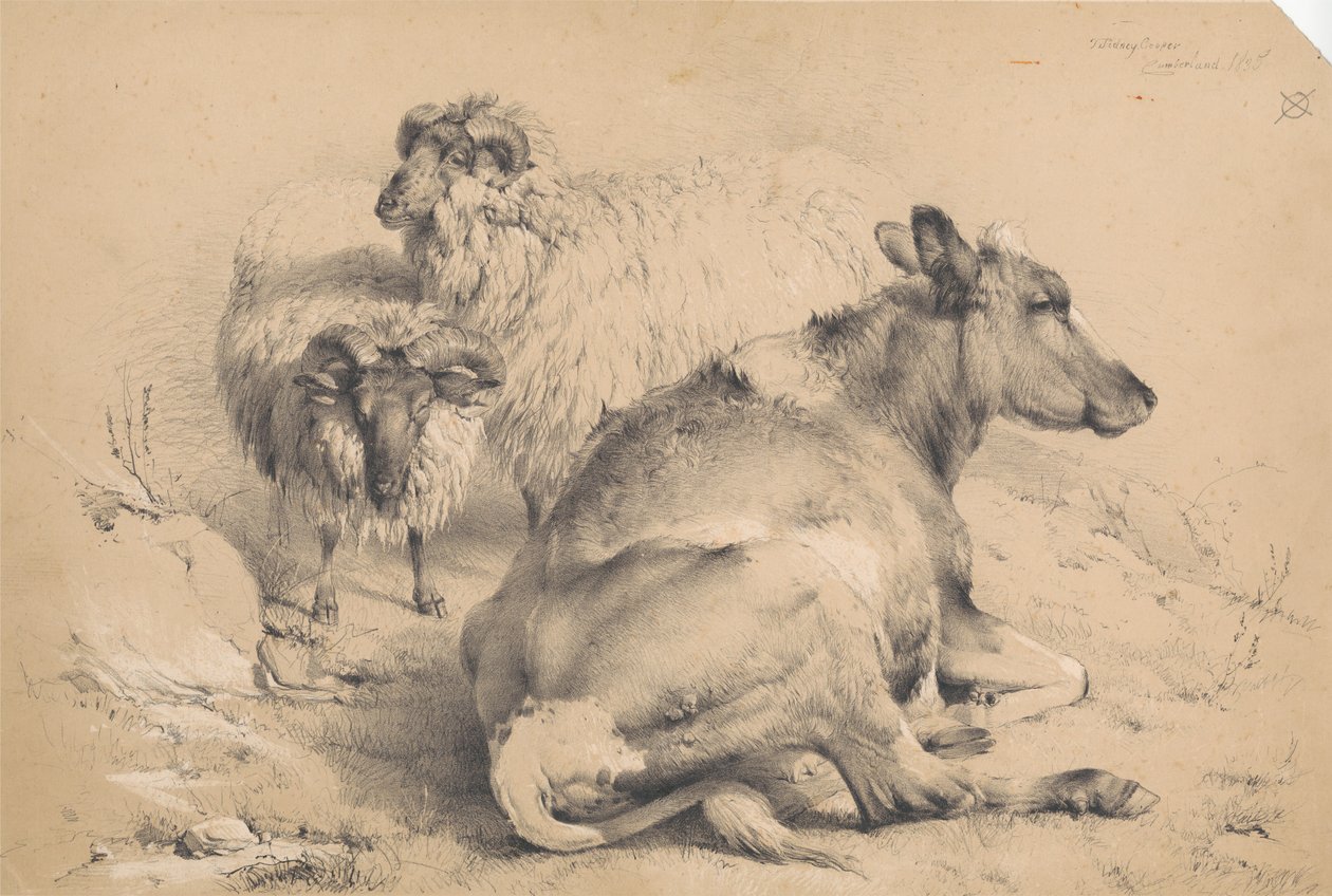 Una vaca y dos carneros de Thomas Sidney Cooper