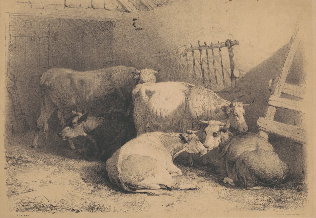 Establo para vacas de Thomas Sidney Cooper
