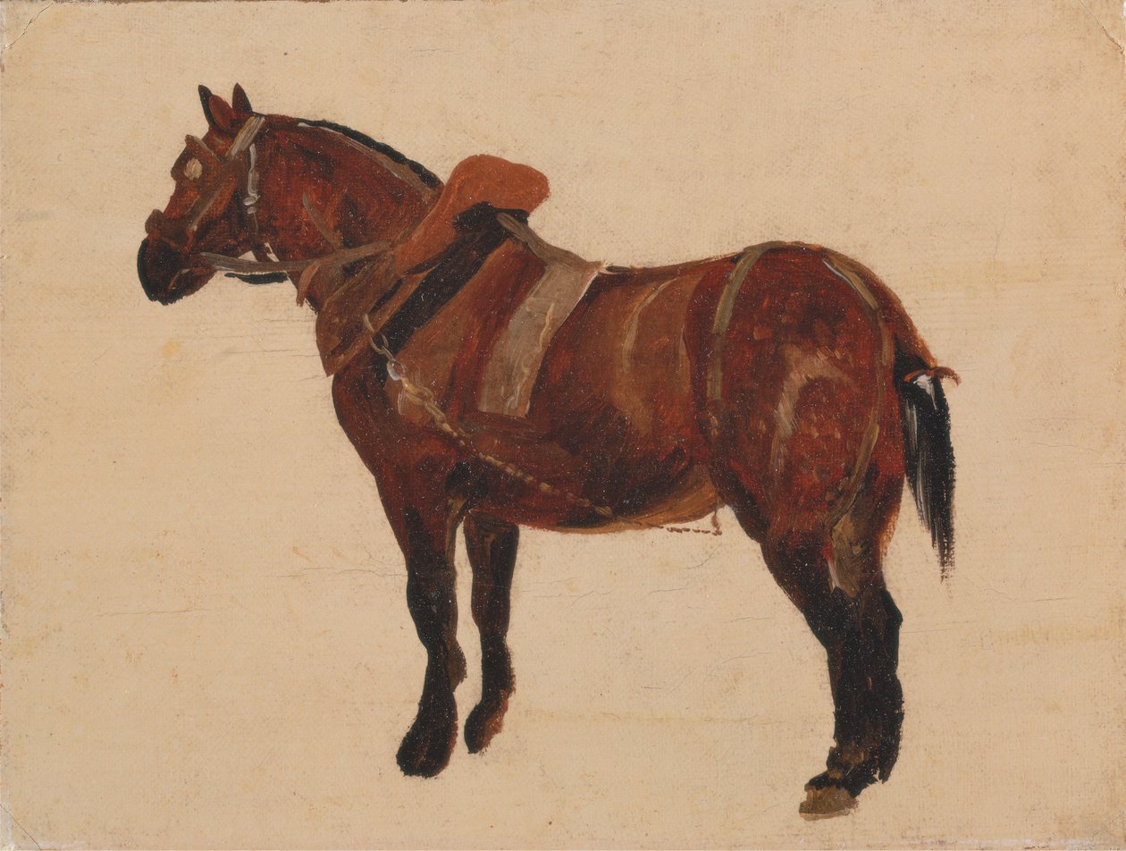Estudio de un caballo de trabajo de Thomas Sidney Cooper