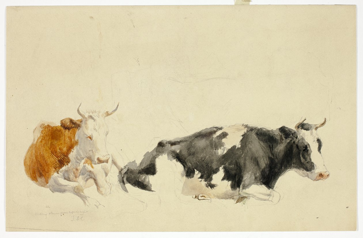 Dos vacas yacentes (anverso); boceto de vaca de pie (reverso) de Thomas Sidney Cooper
