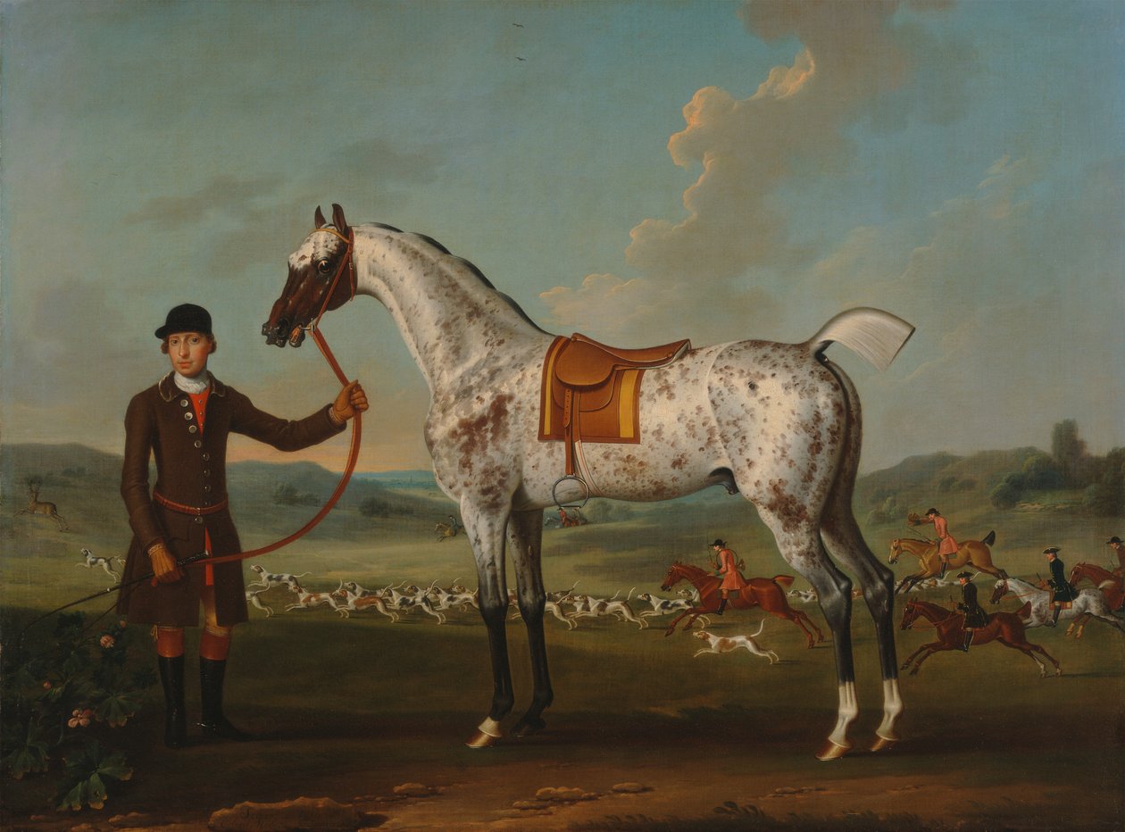 Escipión, un cazador manchado, propiedad del coronel Roche de Thomas Spencer
