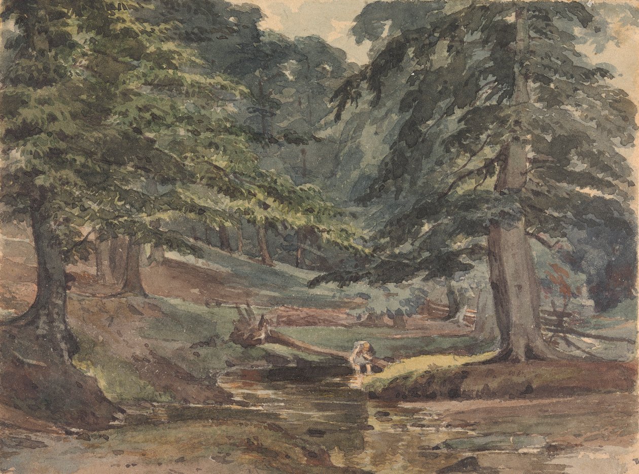 Escena de río arbolado de Thomas Sully