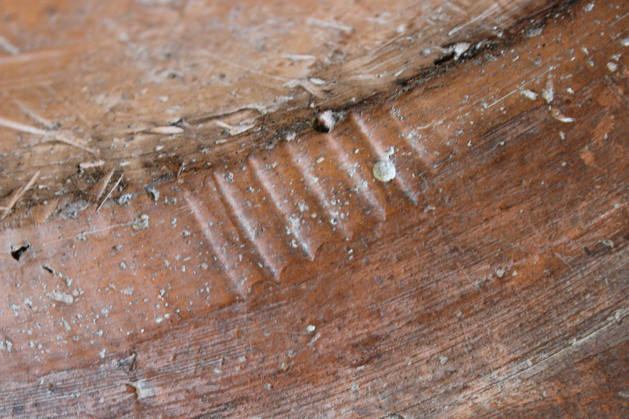 (detalle) del reverso de un plato de loza de Adán y Eva, North Staffordshire de Thomas Toft