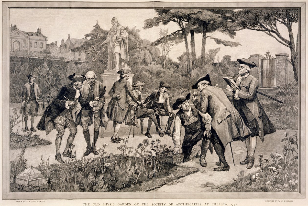 El viejo jardín físico de la Sociedad de Boticarios en Chelsea, 1750, 1890 de Thomas W Lascelles