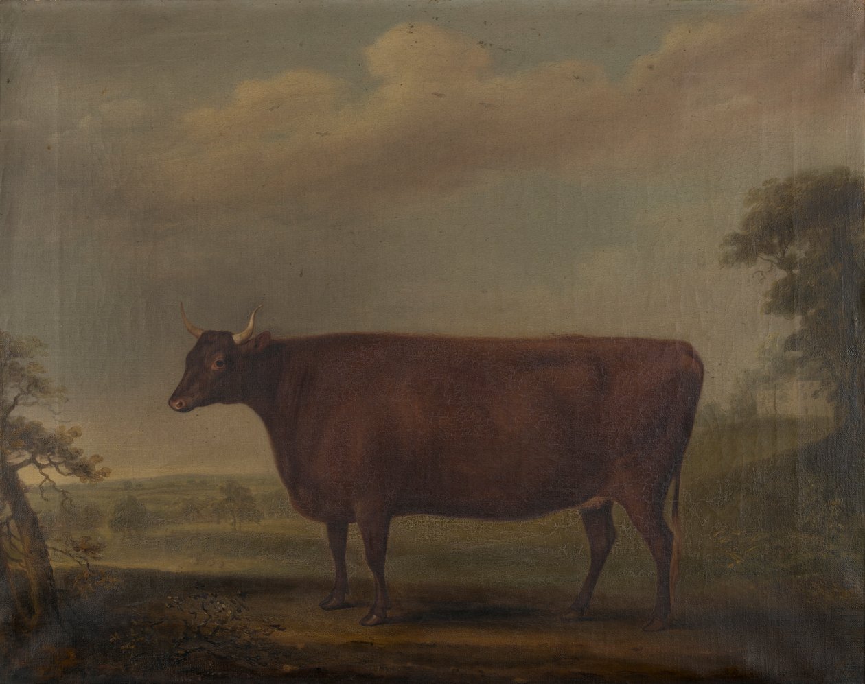 Red Devon Heifers en paisaje, c.1812 (óleo sobre lienzo) de Thomas Weaver