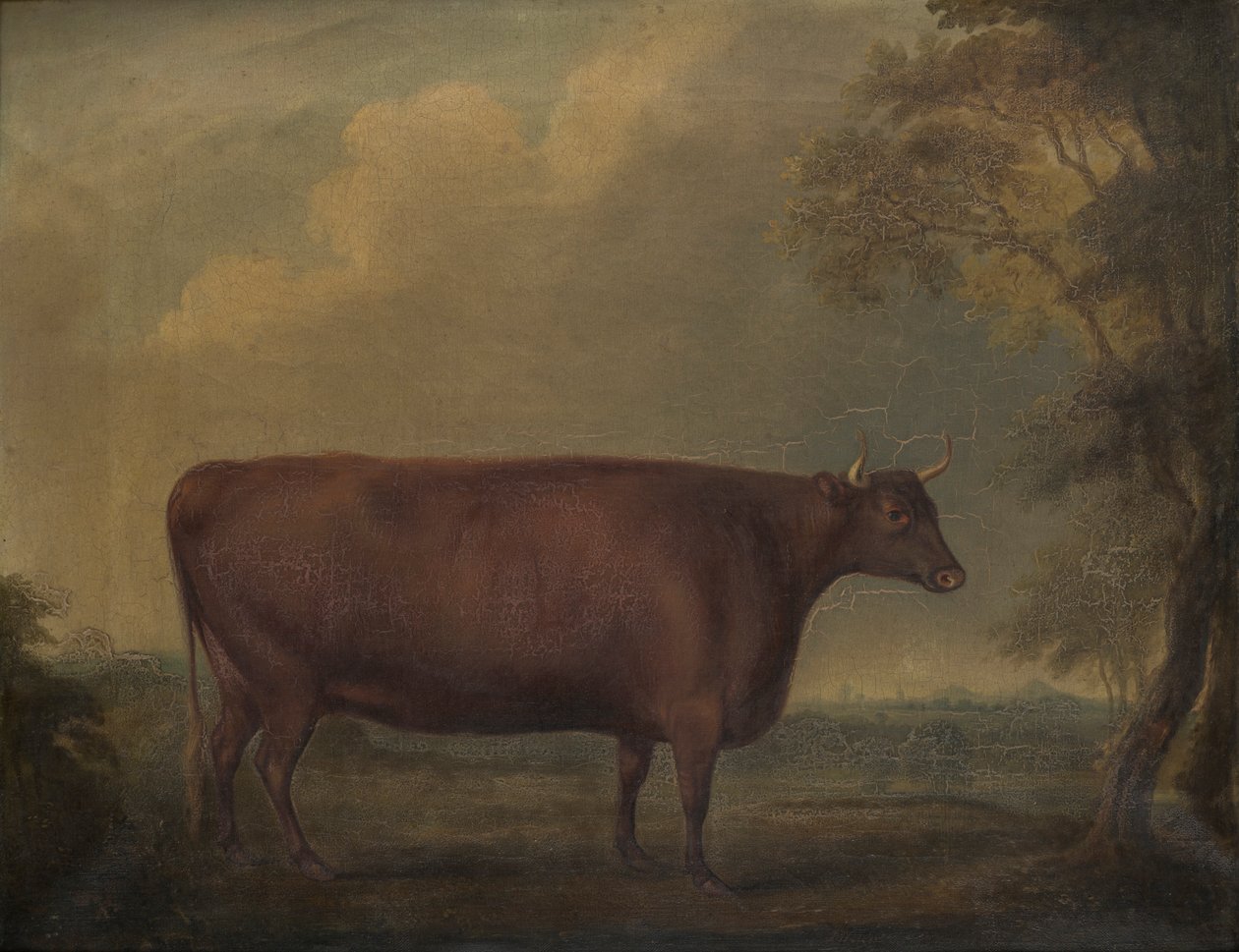 Red Devon Heifers en paisaje, c.1812 (óleo sobre lienzo) de Thomas Weaver