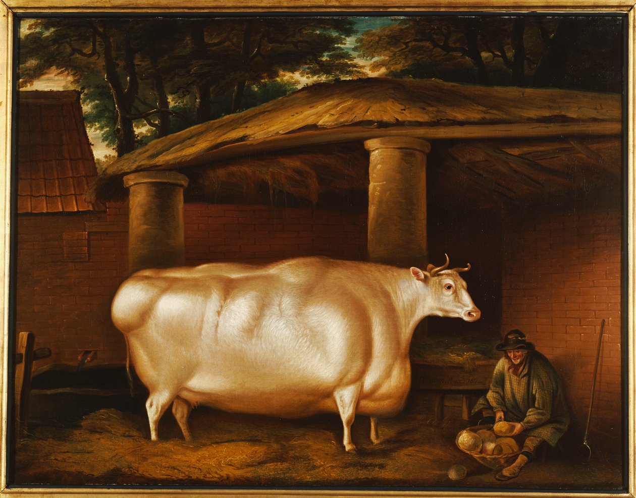 La novilla blanca que viajó, con un hombre cortando nabos en un patio de establo, 1811 de Thomas Weaver
